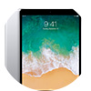 iPad Pro