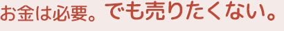 お金は必要！でも売りたくない！！