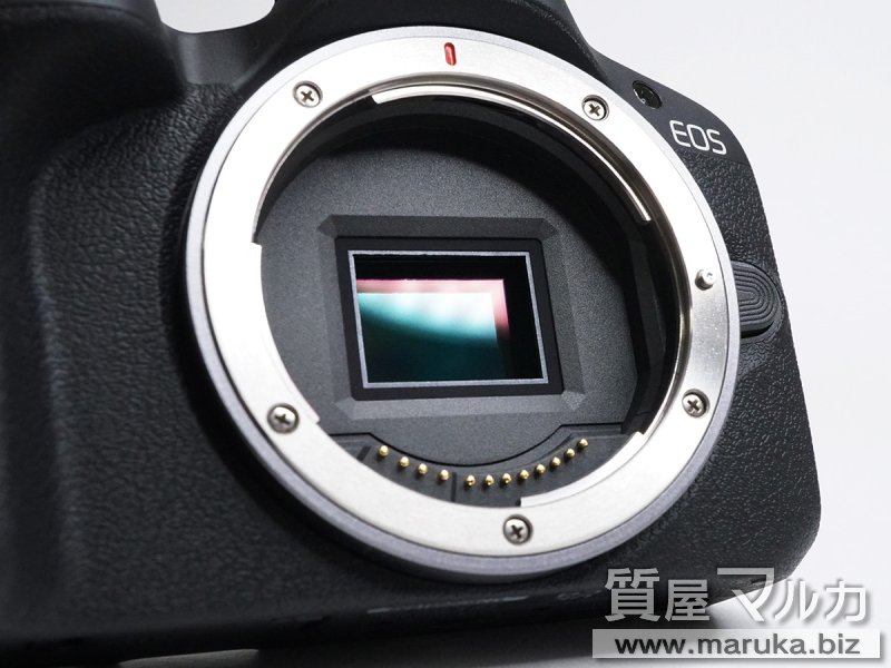 キヤノン EOS R50 ダブルズームキットの買取・質預かり|大阪の質屋マルカ