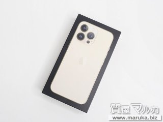 iPhone13 Pro 256GB ドコモ▲ MLUQ3J A 新品