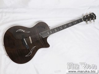 Taylor  エレアコ T5-Pro GAL